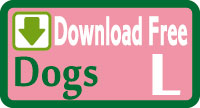 Dog vest Free sewing patterns & how to make