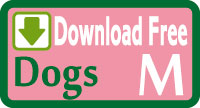 Dog vest Free sewing patterns & how to make