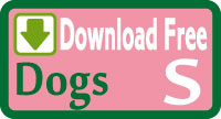 Dog vest Free sewing patterns & how to make