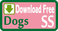 Dog vest Free sewing patterns & how to make